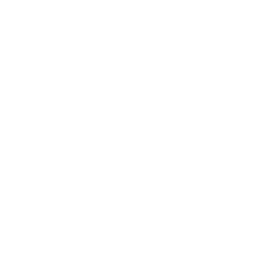 SwiftyERP Logo